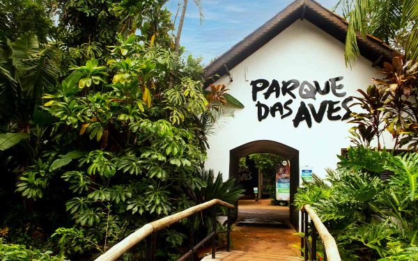Ingresso - Parque das Aves CONECTA - Image 2