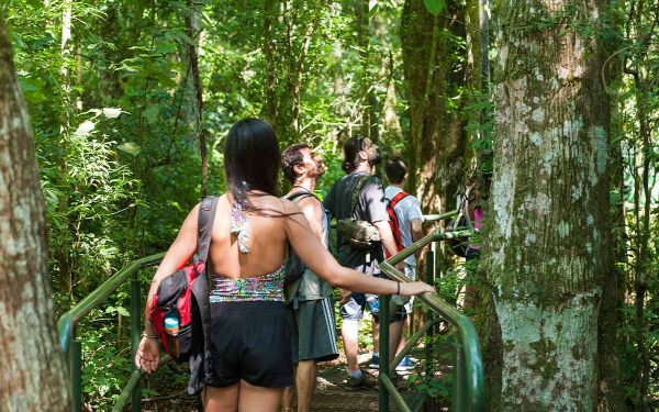 Ticket - Macuco Selva - Image 2