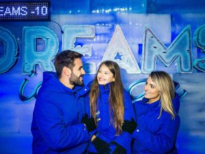 Ticket - Dreams Ice Bar - Dreams Park Show