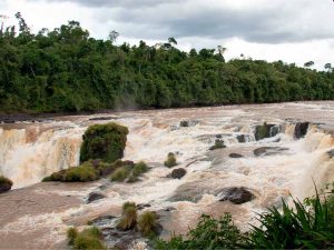 Salto Monday